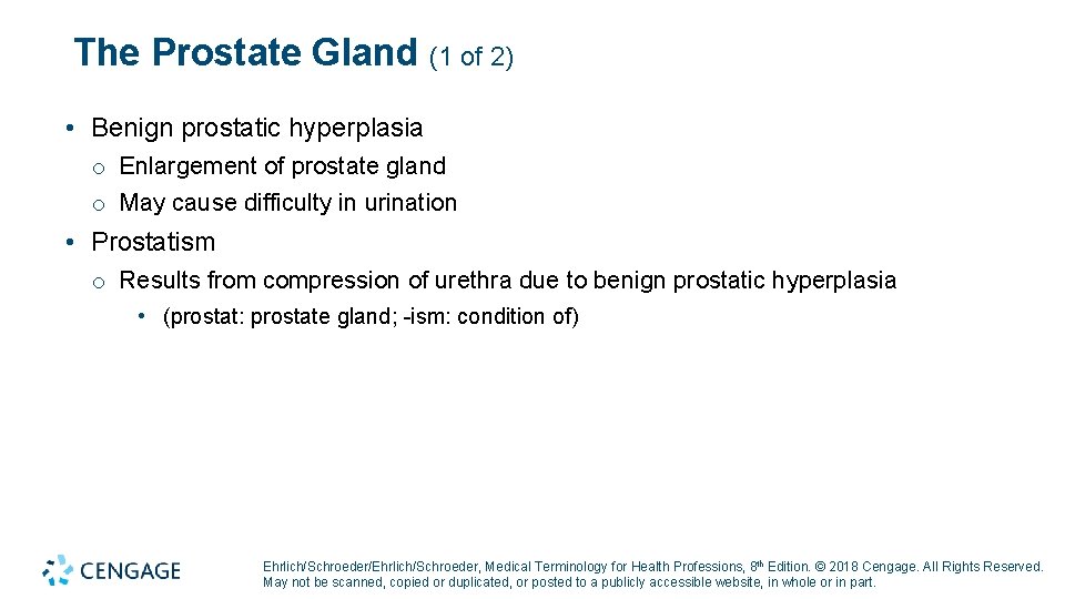 The Prostate Gland (1 of 2) • Benign prostatic hyperplasia o Enlargement of prostate