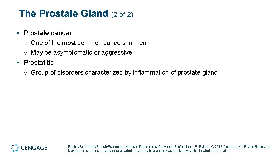 The Prostate Gland (2 of 2) • Prostate cancer o One of the most The Prostate Gland (2 of 2) • Prostate cancer o One of the most