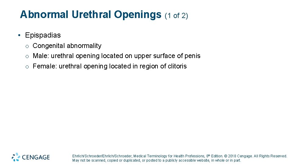 Abnormal Urethral Openings (1 of 2) • Epispadias o Congenital abnormality o Male: urethral