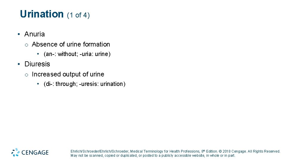 Urination (1 of 4) • Anuria o Absence of urine formation • (an-: without; Urination (1 of 4) • Anuria o Absence of urine formation • (an-: without;