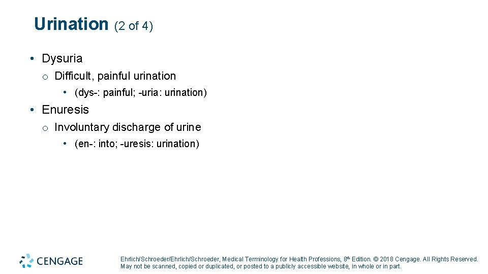 Urination (2 of 4) • Dysuria o Difficult, painful urination • (dys-: painful; -uria: