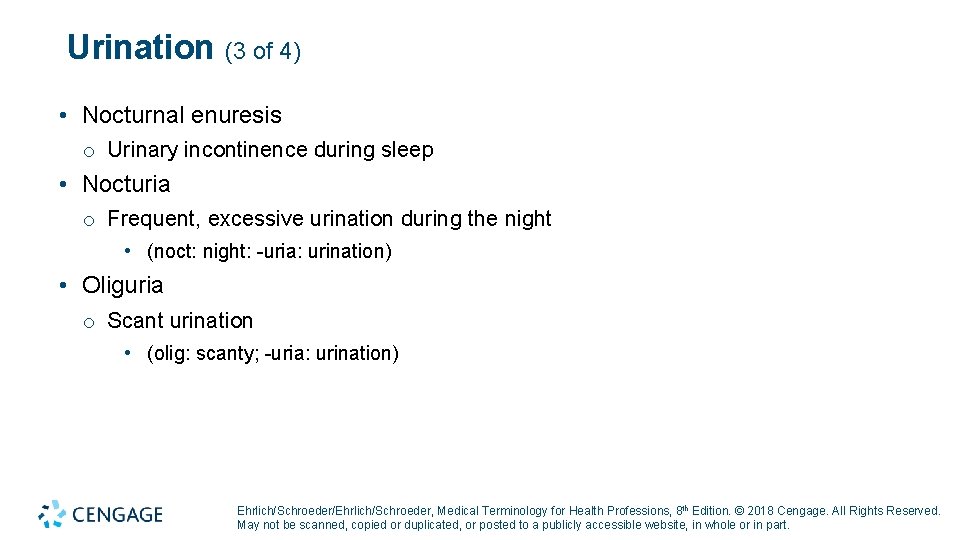 Urination (3 of 4) • Nocturnal enuresis o Urinary incontinence during sleep • Nocturia