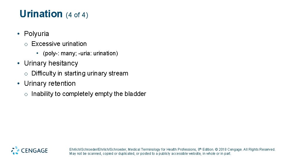 Urination (4 of 4) • Polyuria o Excessive urination • (poly-: many; -uria: urination)