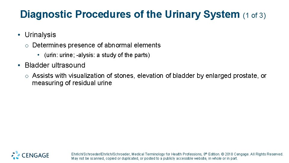 Diagnostic Procedures of the Urinary System (1 of 3) • Urinalysis o Determines presence
