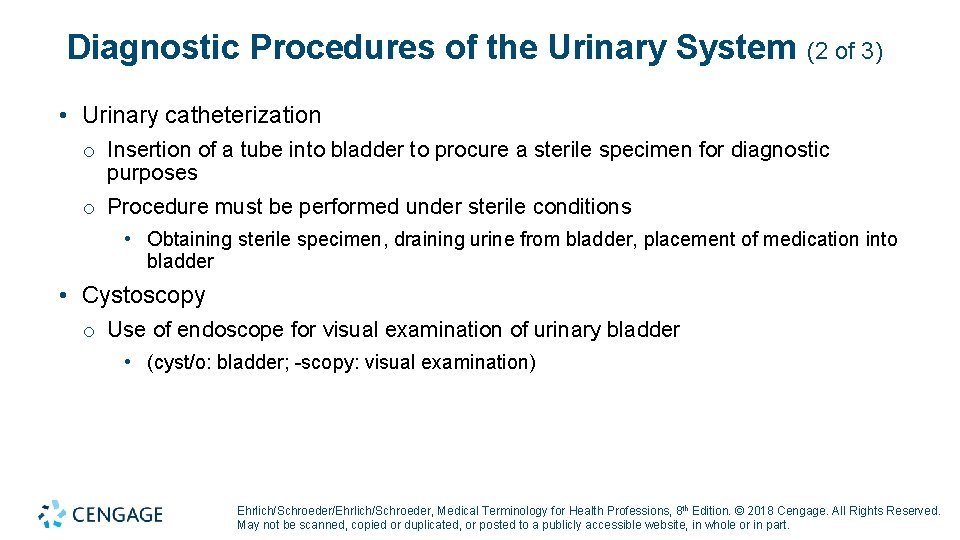 Diagnostic Procedures of the Urinary System (2 of 3) • Urinary catheterization o Insertion