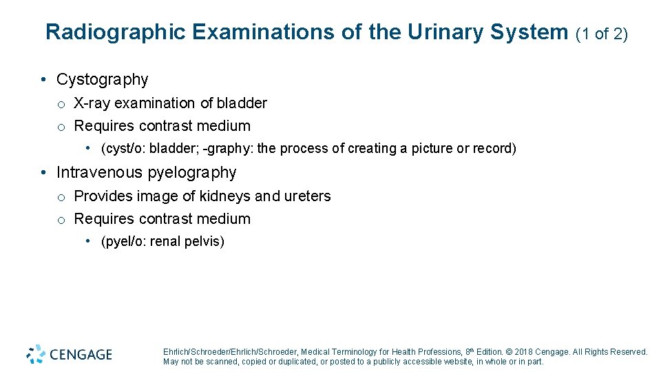 Radiographic Examinations of the Urinary System (1 of 2) • Cystography o X-ray examination Radiographic Examinations of the Urinary System (1 of 2) • Cystography o X-ray examination