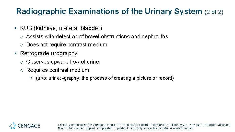 Radiographic Examinations of the Urinary System (2 of 2) • KUB (kidneys, ureters, bladder)