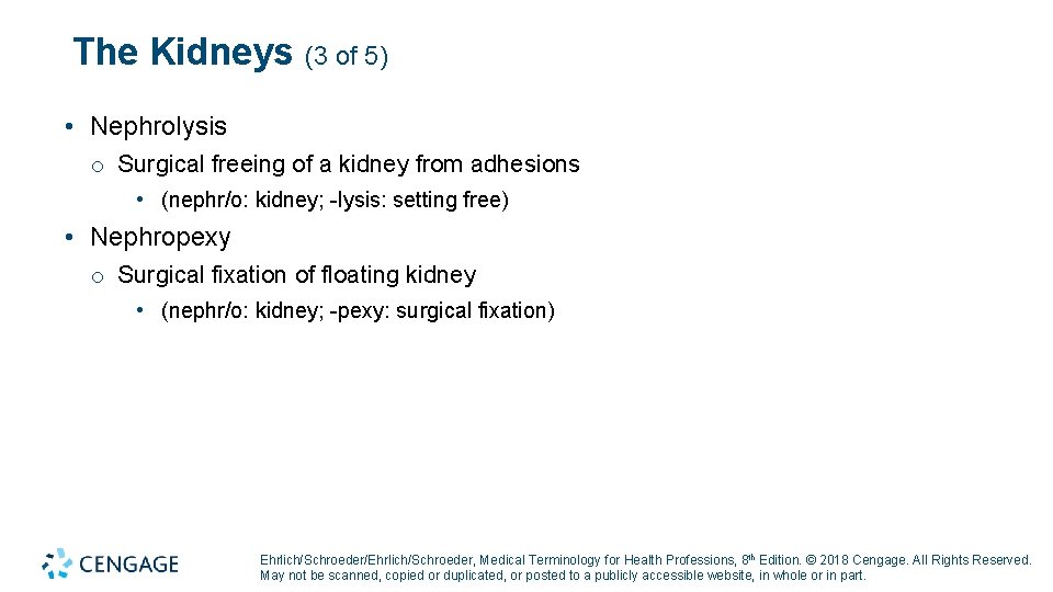 The Kidneys (3 of 5) • Nephrolysis o Surgical freeing of a kidney from The Kidneys (3 of 5) • Nephrolysis o Surgical freeing of a kidney from