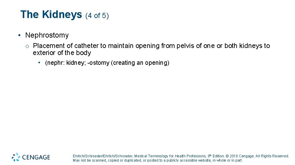 The Kidneys (4 of 5) • Nephrostomy o Placement of catheter to maintain opening