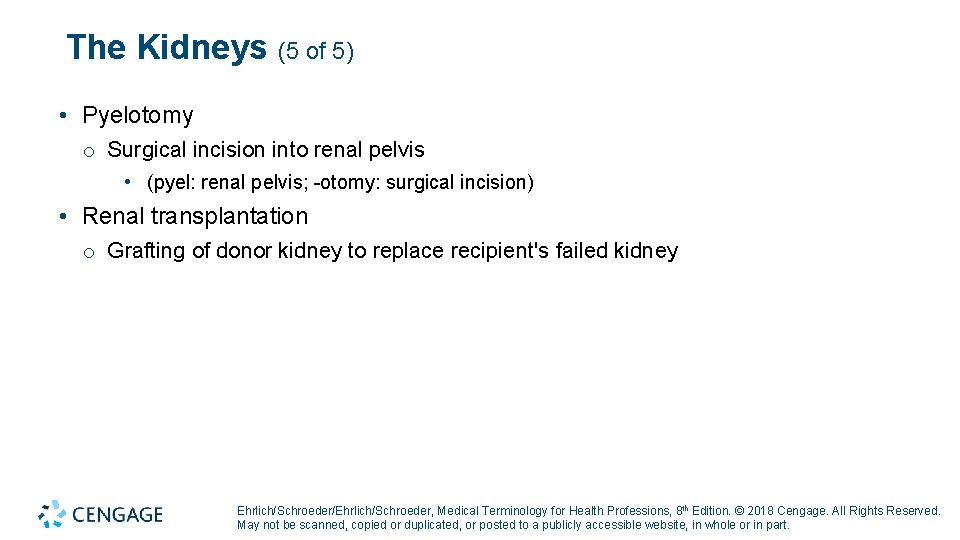 The Kidneys (5 of 5) • Pyelotomy o Surgical incision into renal pelvis •