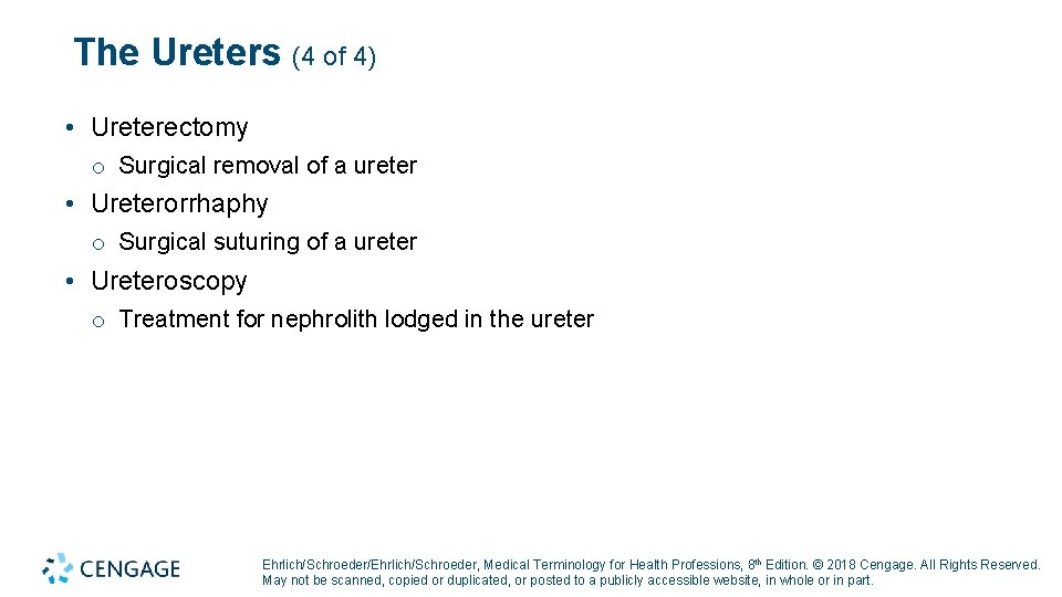 The Ureters (4 of 4) • Ureterectomy o Surgical removal of a ureter •