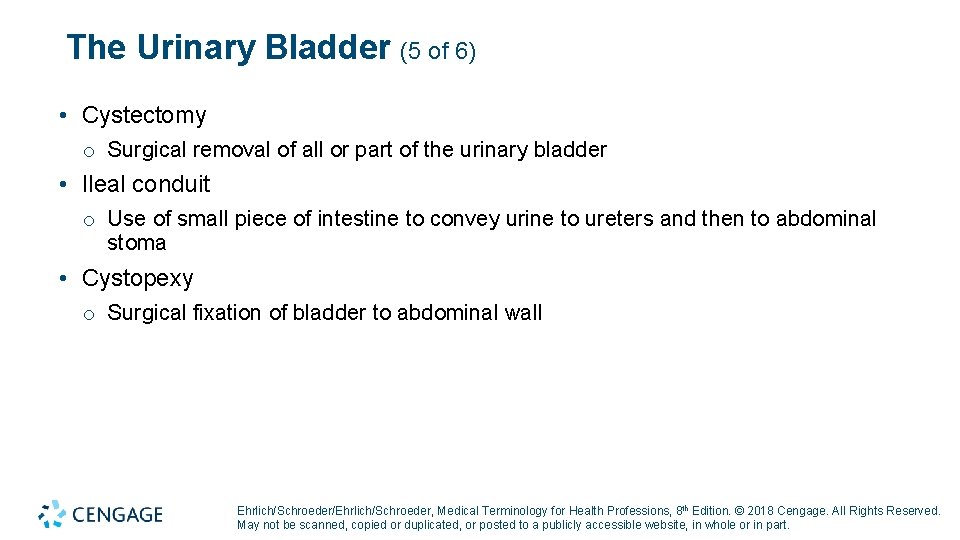 The Urinary Bladder (5 of 6) • Cystectomy o Surgical removal of all or