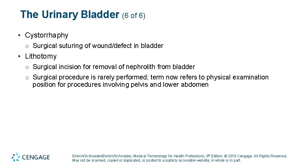 The Urinary Bladder (6 of 6) • Cystorrhaphy o Surgical suturing of wound/defect in