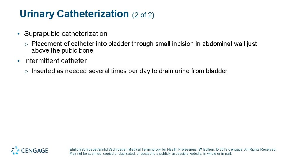 Urinary Catheterization (2 of 2) • Suprapubic catheterization o Placement of catheter into bladder Urinary Catheterization (2 of 2) • Suprapubic catheterization o Placement of catheter into bladder