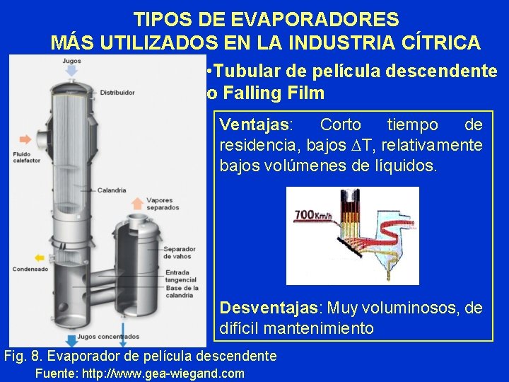 TIPOS DE EVAPORADORES MÁS UTILIZADOS EN LA INDUSTRIA CÍTRICA • Tubular de película descendente