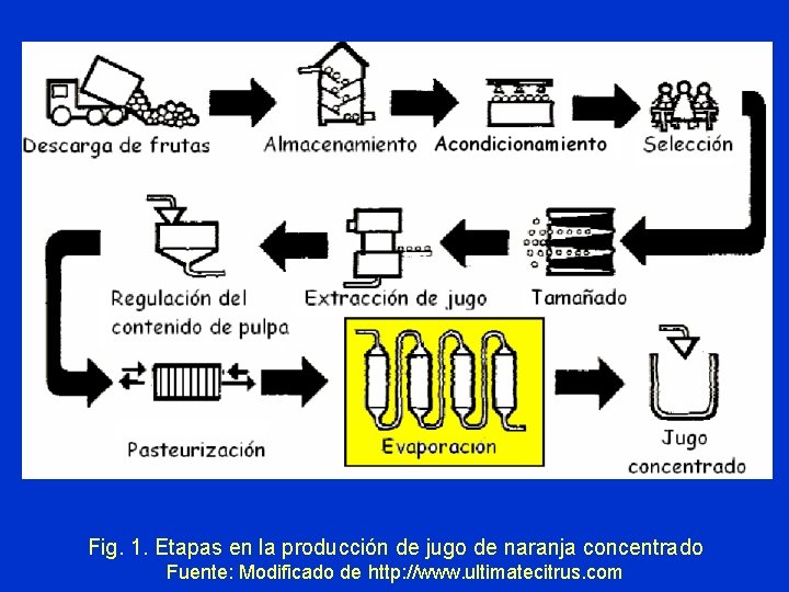 Fig. 1. Etapas en la producción de jugo de naranja concentrado Fuente: Modificado de