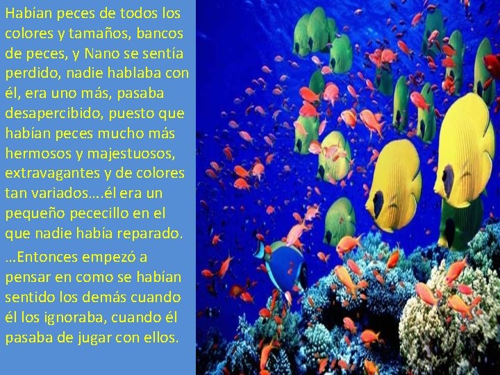 Habían peces de todos los colores y tamaños, bancos de peces, y Nano se