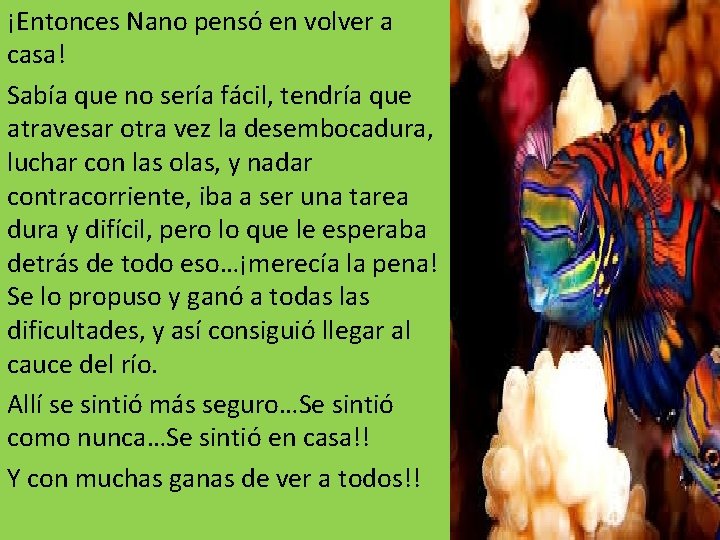 ¡Entonces Nano pensó en volver a casa! Sabía que no sería fácil, tendría que