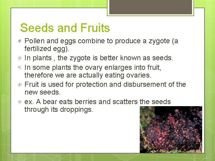 Seeds and Fruits Pollen and eggs combine to produce a zygote (a fertilized egg).