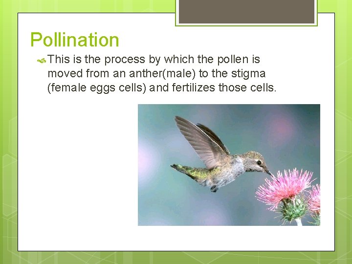 Pollination This is the process by which the pollen is moved from an anther(male)