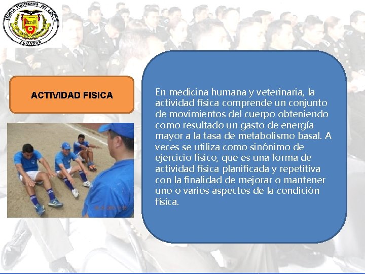 ACTIVIDAD FISICA En medicina humana y veterinaria, la actividad física comprende un conjunto de