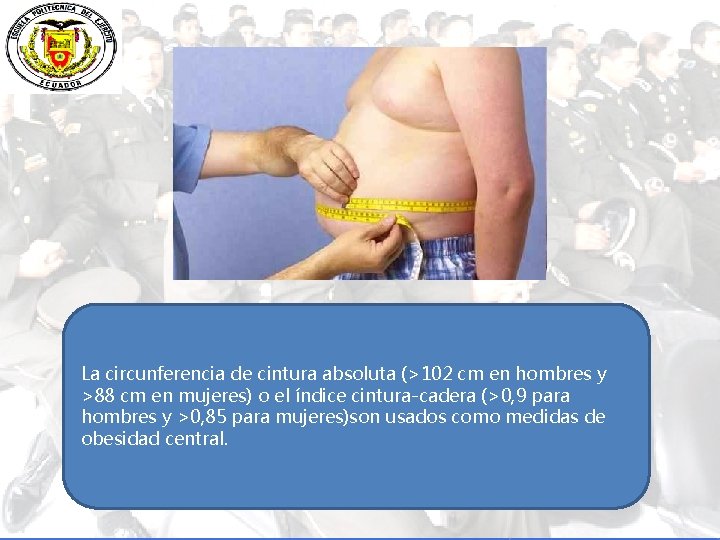 La circunferencia de cintura absoluta (>102 cm en hombres y >88 cm en mujeres)