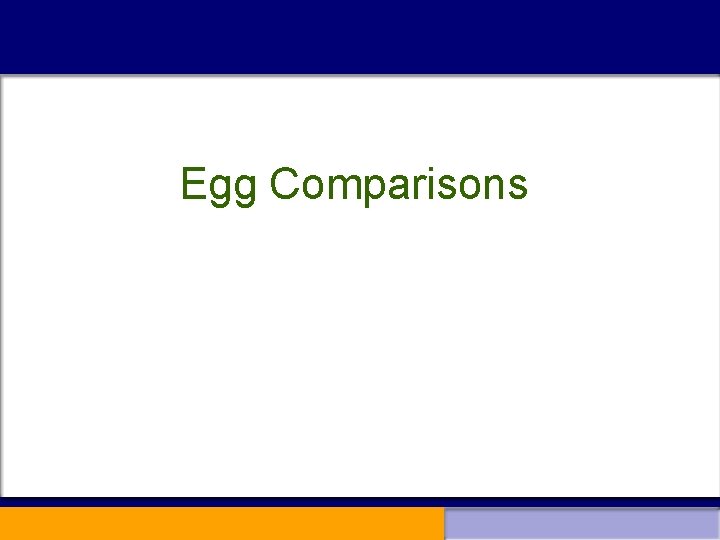 Egg Comparisons 