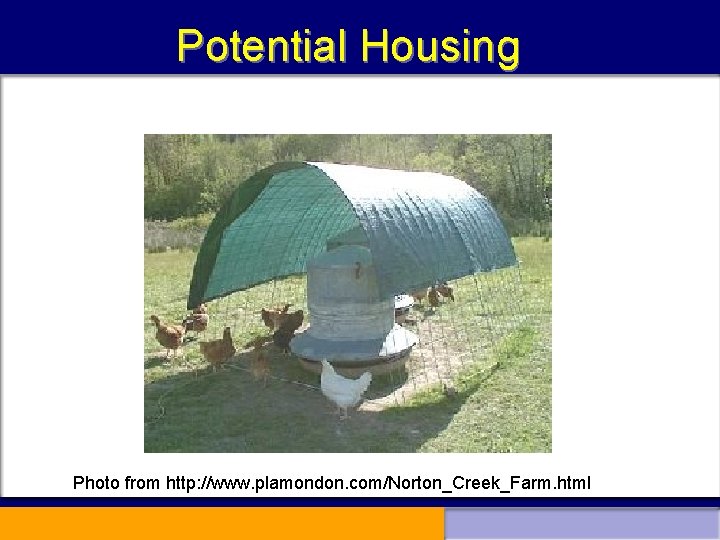 Potential Housing Photo from http: //www. plamondon. com/Norton_Creek_Farm. html 