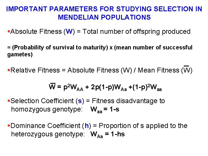 IMPORTANT PARAMETERS FOR STUDYING SELECTION IN MENDELIAN POPULATIONS §Absolute Fitness (W) = Total number