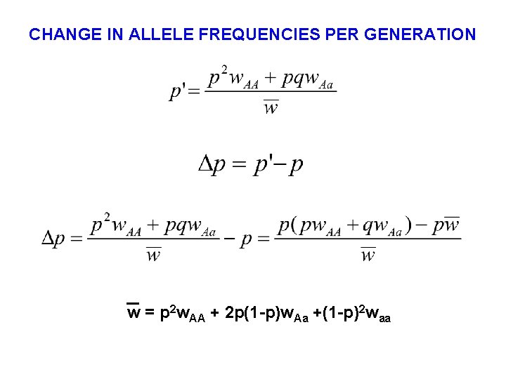 CHANGE IN ALLELE FREQUENCIES PER GENERATION w = p 2 w. AA + 2