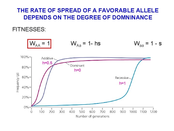 THE RATE OF SPREAD OF A FAVORABLE ALLELE DEPENDS ON THE DEGREE OF DOMNINANCE