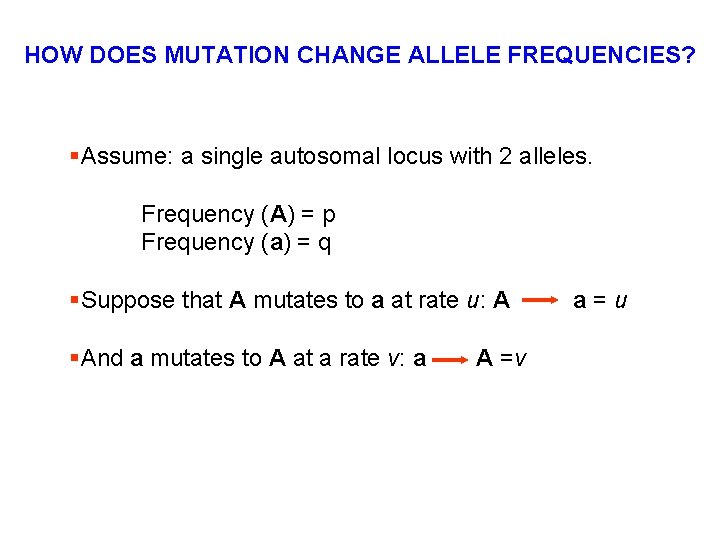 HOW DOES MUTATION CHANGE ALLELE FREQUENCIES? §Assume: a single autosomal locus with 2 alleles.