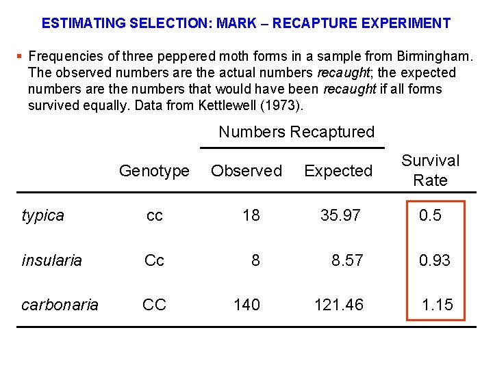 ESTIMATING SELECTION: MARK – RECAPTURE EXPERIMENT § Frequencies of three peppered moth forms in