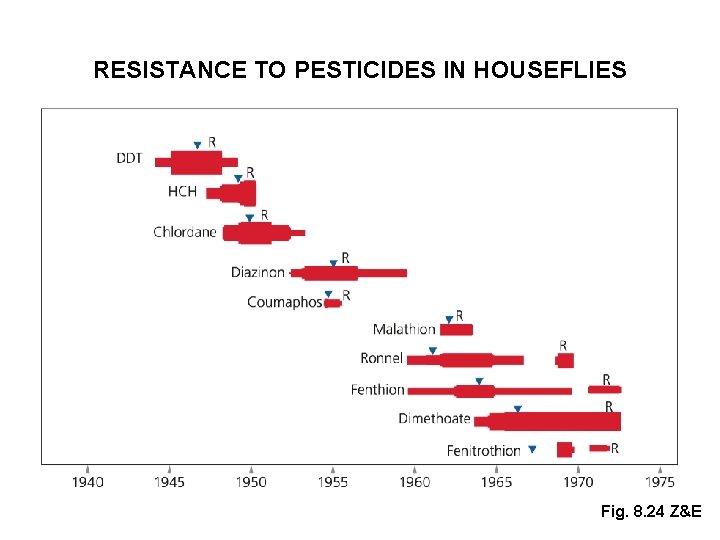 RESISTANCE TO PESTICIDES IN HOUSEFLIES Fig. 8. 24 Z&E 