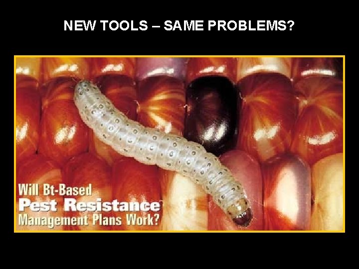 NEW TOOLS – SAME PROBLEMS? 