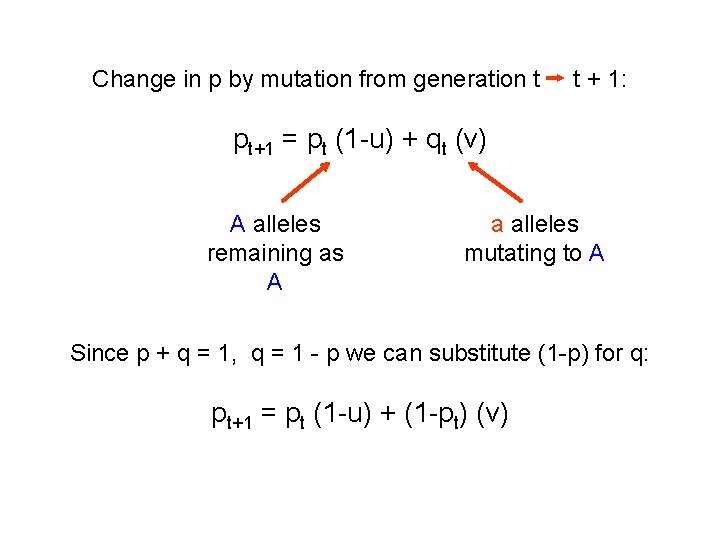 Change in p by mutation from generation t t + 1: pt+1 = pt