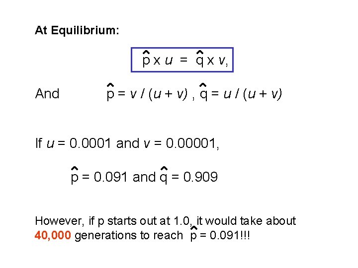 At Equilibrium: p x u = q x v, And p = v /