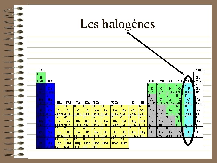 Les halogènes 