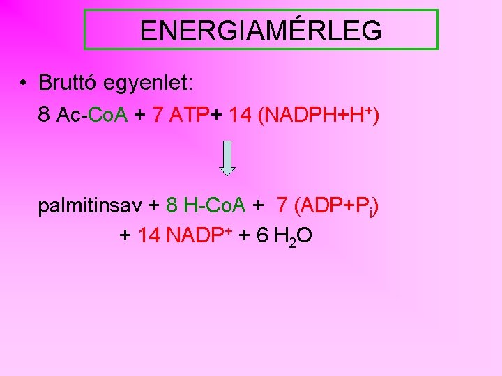ENERGIAMÉRLEG • Bruttó egyenlet: 8 Ac-Co. A + 7 ATP+ 14 (NADPH+H+) palmitinsav +