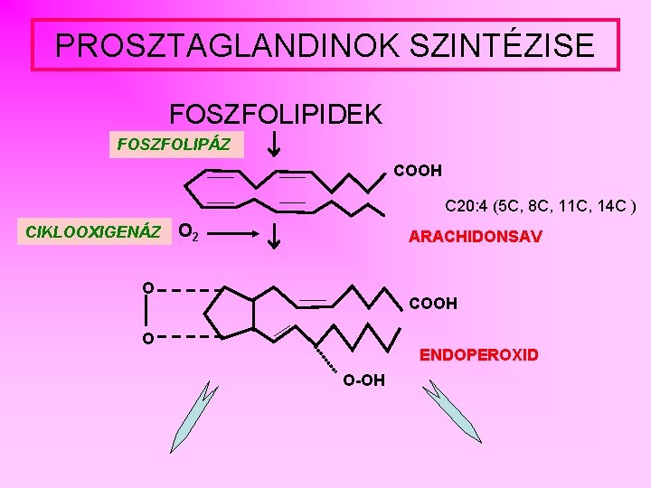 PROSZTAGLANDINOK SZINTÉZISE FOSZFOLIPIDEK FOSZFOLIPÁZ COOH C 20: 4 (5 C, 8 C, 11 C,