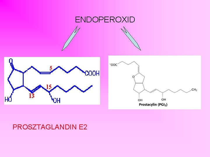 ENDOPEROXID PROSZTAGLANDIN E 2 