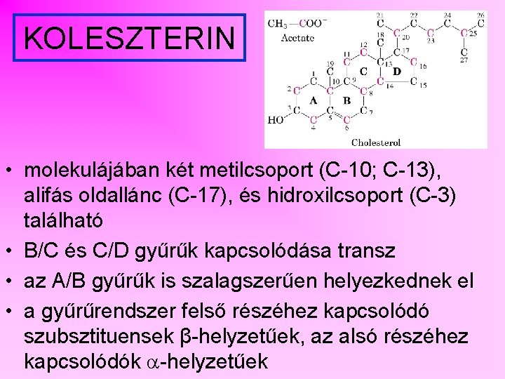 KOLESZTERIN • molekulájában két metilcsoport (C-10; C-13), alifás oldallánc (C-17), és hidroxilcsoport (C-3) található