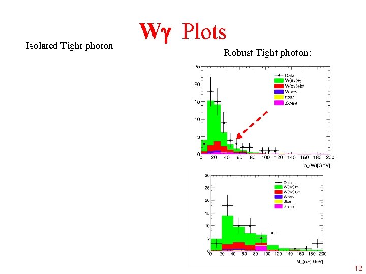 Isolated Tight photon W Plots Robust Tight photon: 12 