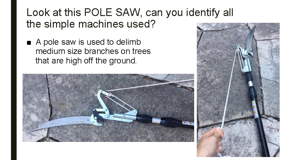 Look at this POLE SAW, can you identify all the simple machines used? ■