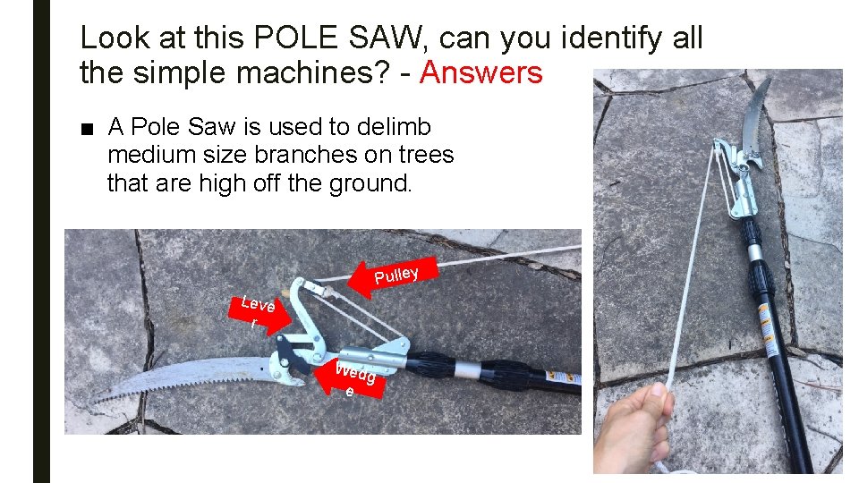 Look at this POLE SAW, can you identify all the simple machines? - Answers