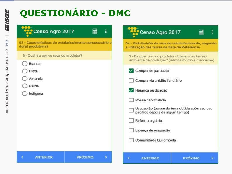 QUESTIONÁRIO - DMC 