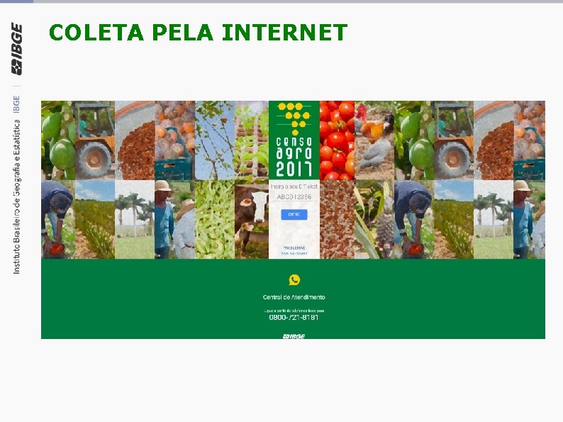 COLETA PELA INTERNET 