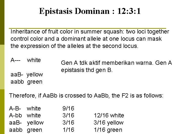 Epistasis Dominan : 12: 3: 1 Inheritance of fruit color in summer squash: two