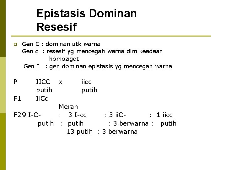 Epistasis Dominan Resesif p P F 1 Gen C : dominan utk warna Gen
