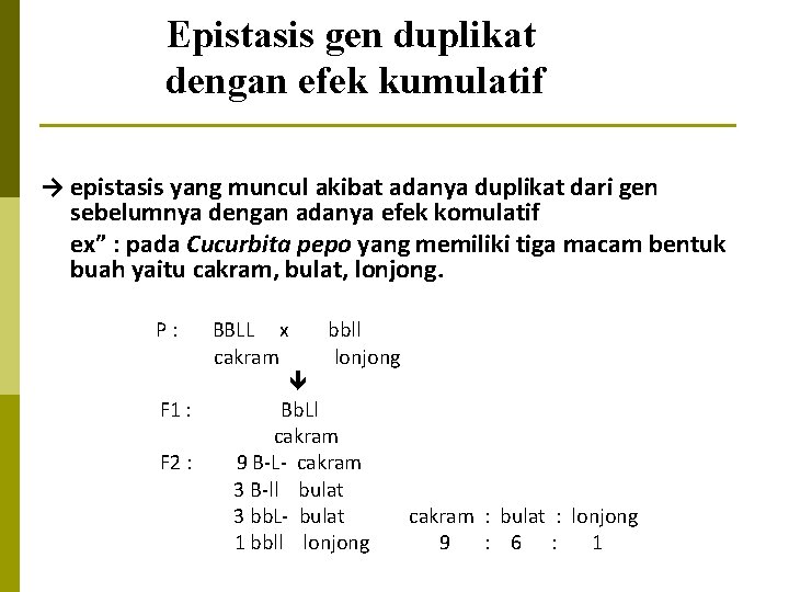 Epistasis gen duplikat dengan efek kumulatif → epistasis yang muncul akibat adanya duplikat dari